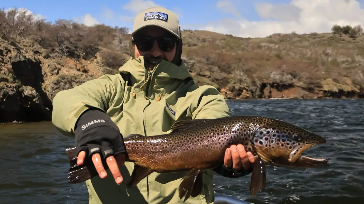 Guide holding a wild brown trout above the water on a Patagonian river